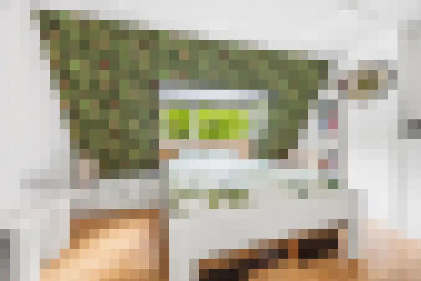 Beetslaan 6 Rijswijk thumbnail 22