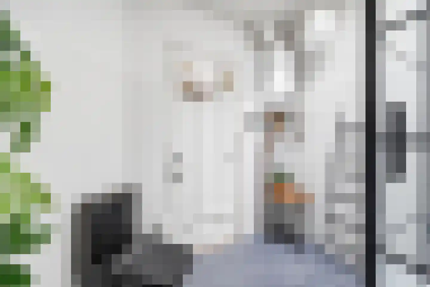 Beetslaan 6 Rijswijk thumbnail 23
