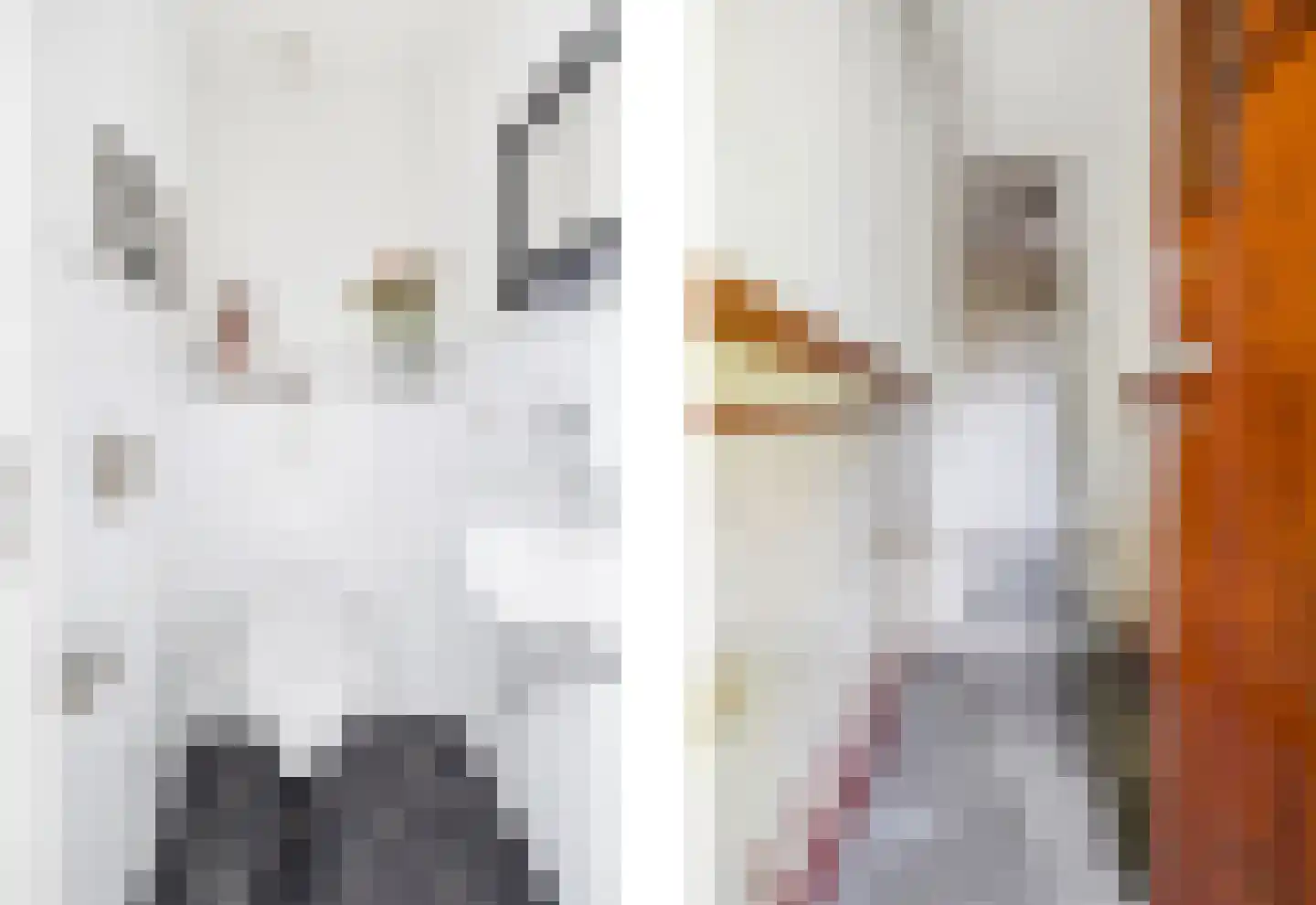 Beetslaan 6 Rijswijk thumbnail 8