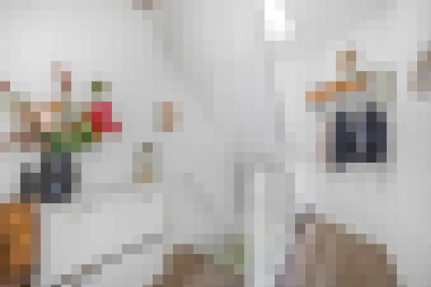 Beetslaan 6 Rijswijk thumbnail 9