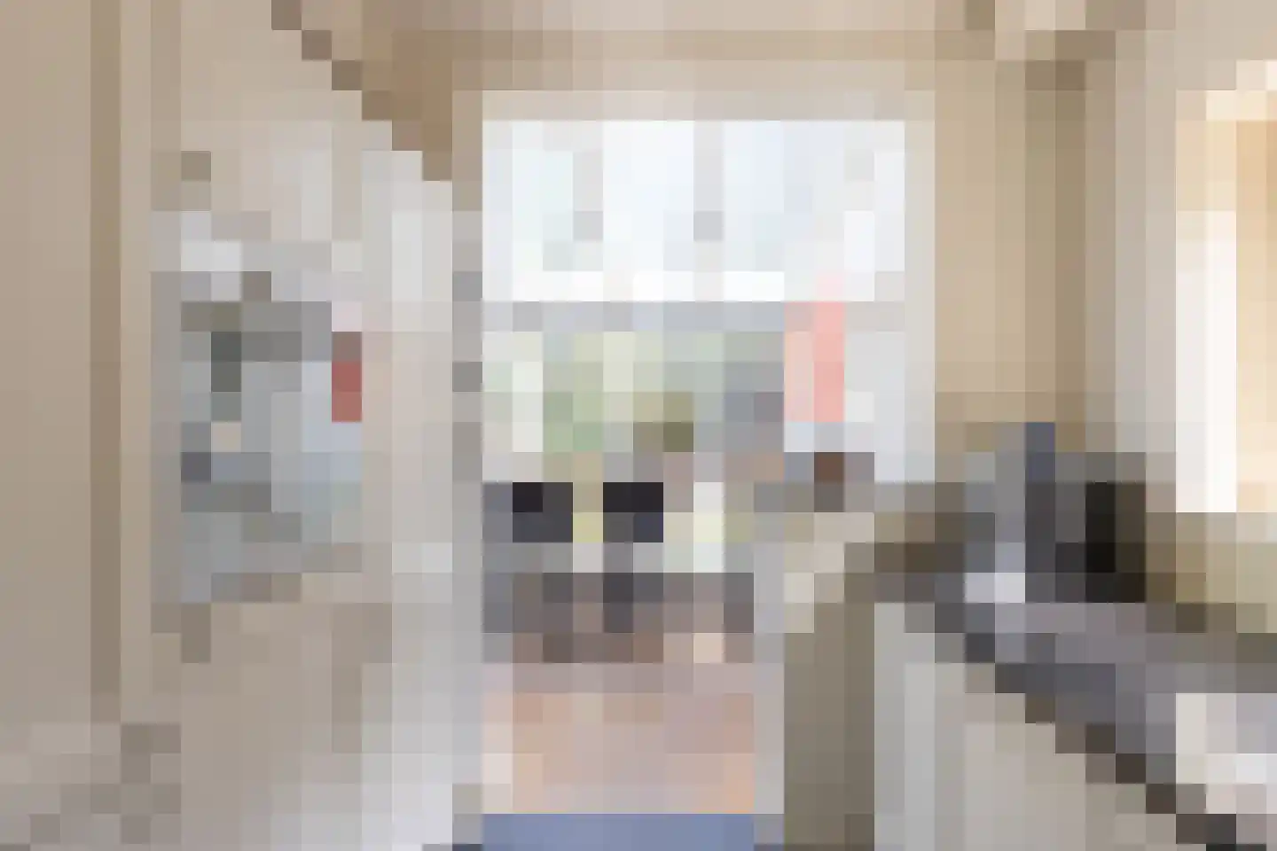 Beetslaan 7 Bilthoven thumbnail 22