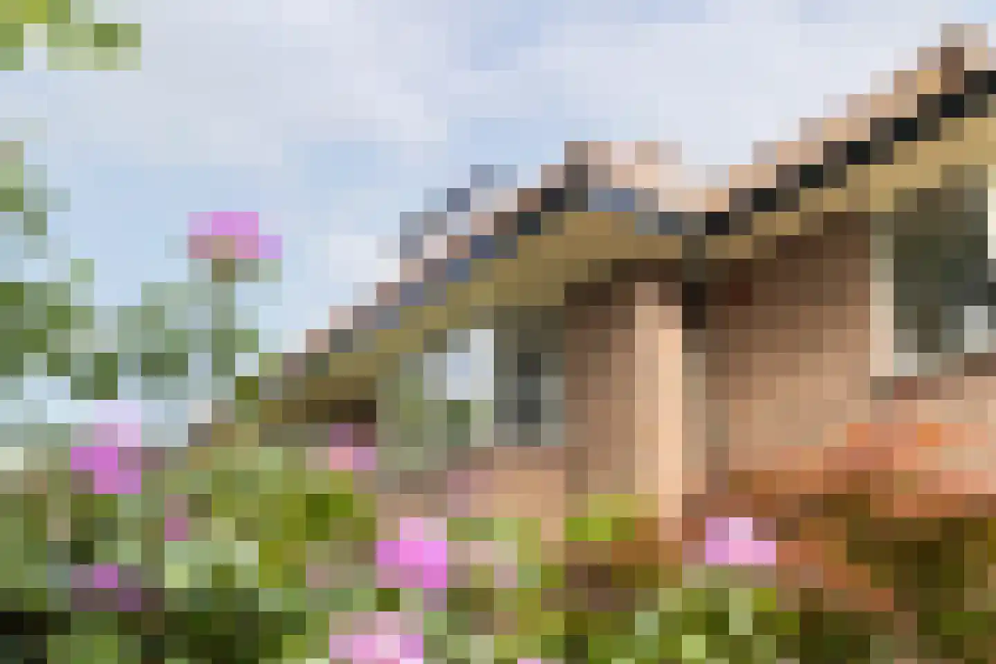 Beetslaan 7 Bilthoven foto 3