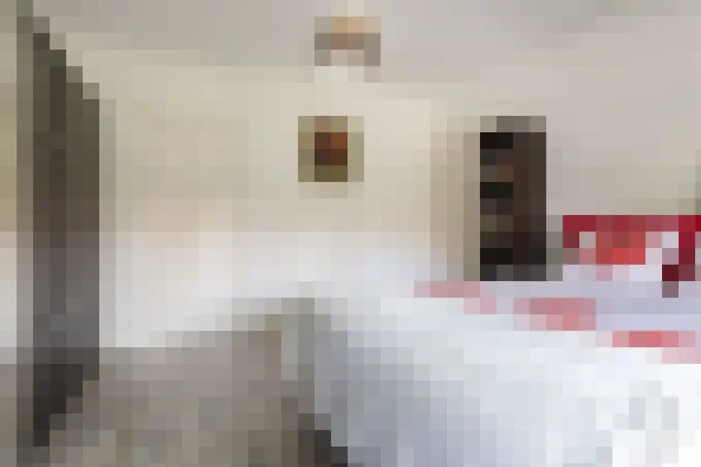 Beetslaan 7 Bilthoven thumbnail 31