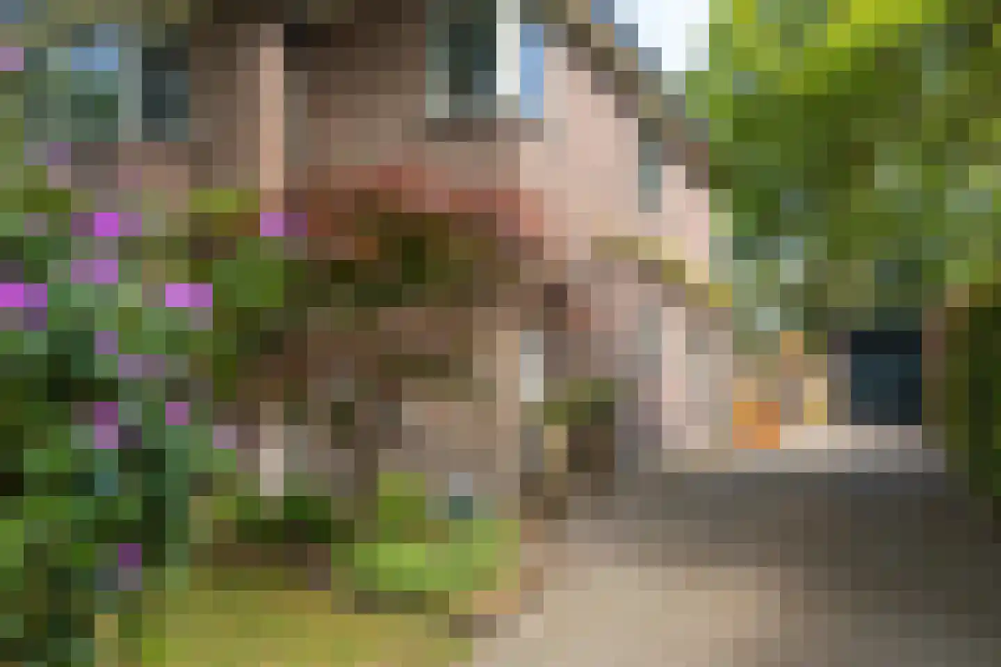 Beetslaan 7 Bilthoven thumbnail 4