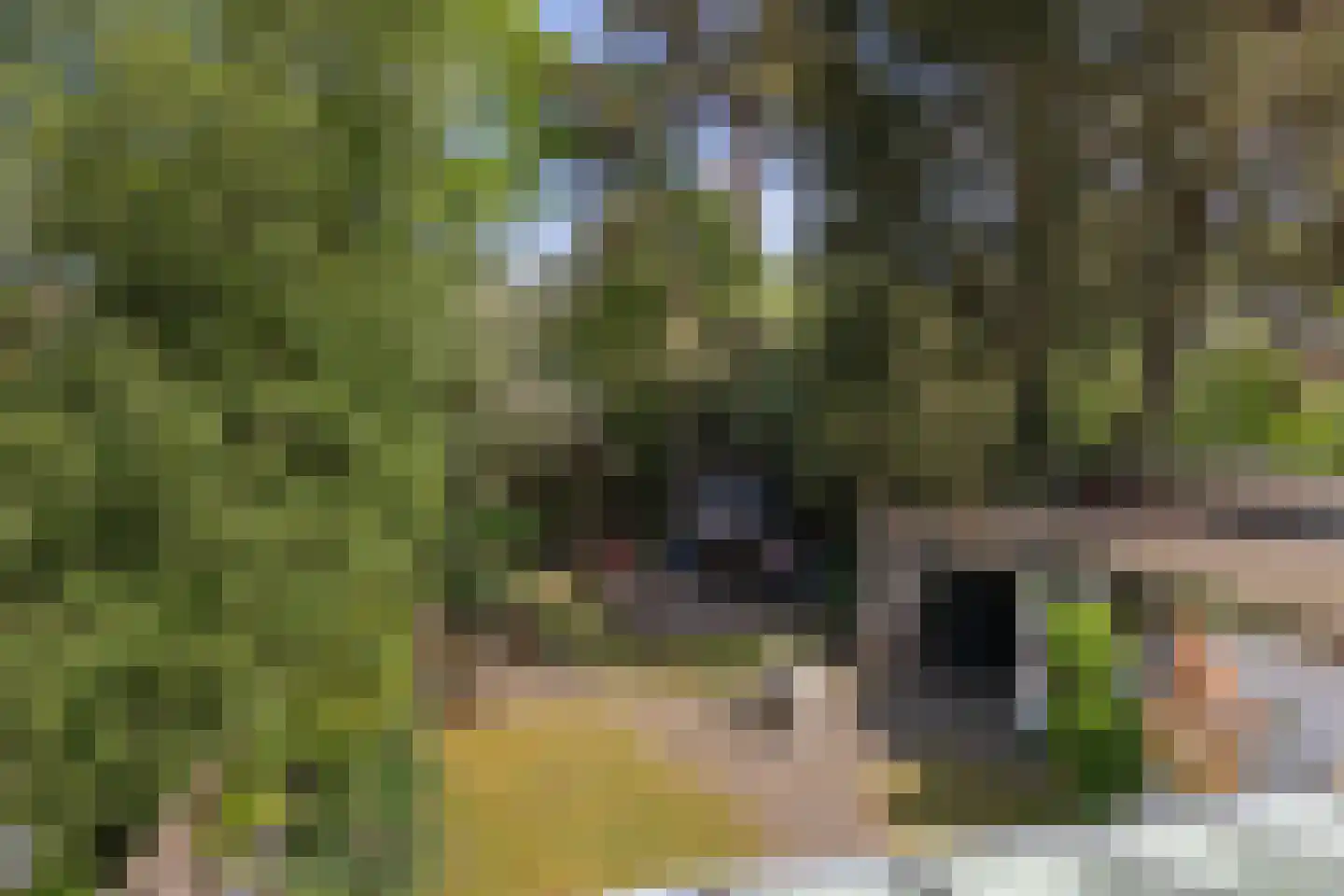 Beetslaan 7 Bilthoven thumbnail 42