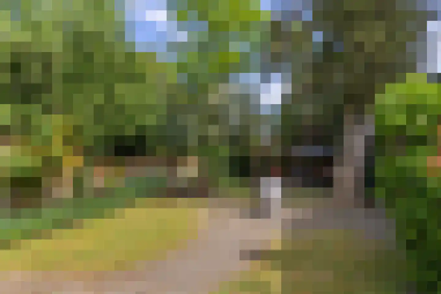 Beetslaan 7 Bilthoven thumbnail 42