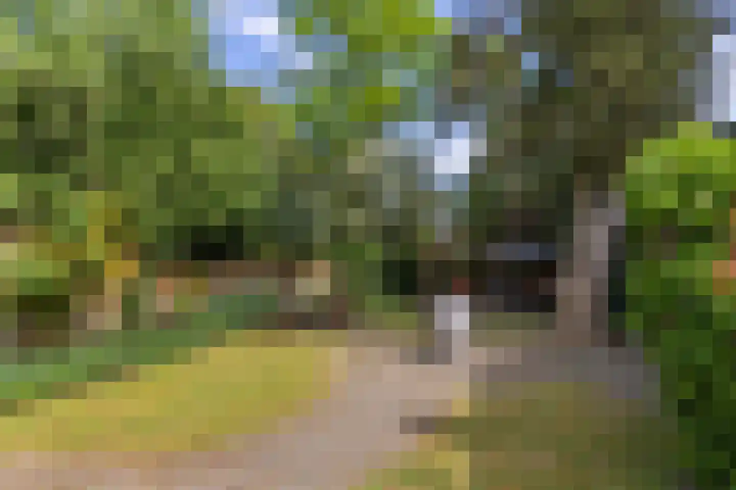 Beetslaan 7 Bilthoven thumbnail 43