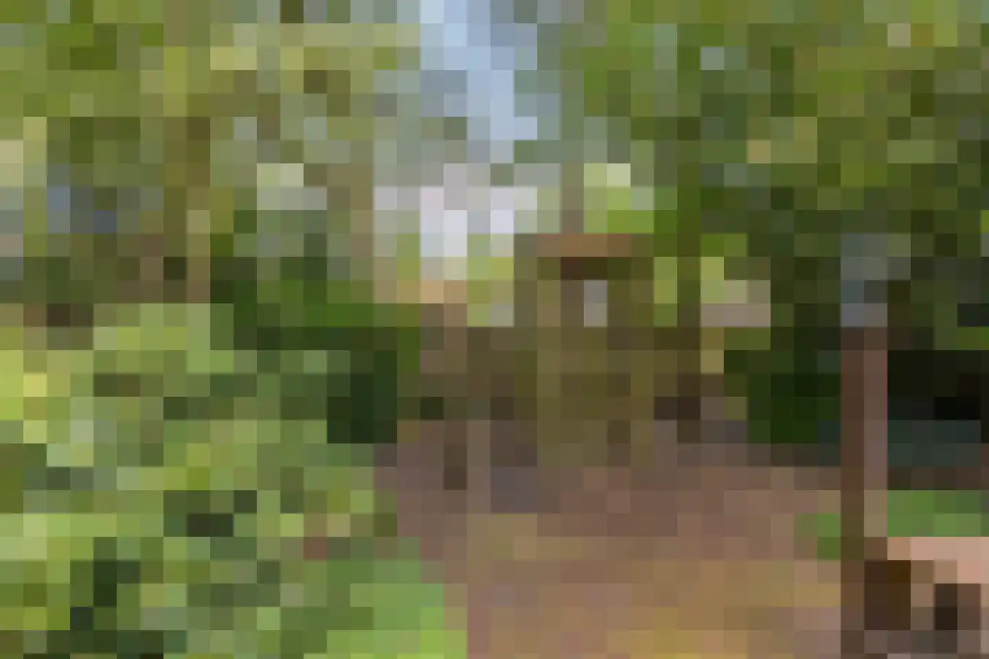 Beetslaan 7 Bilthoven thumbnail 49