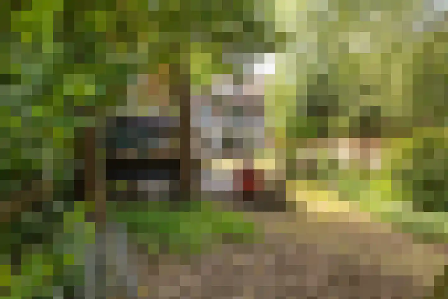 Beetslaan 7 Bilthoven thumbnail 50