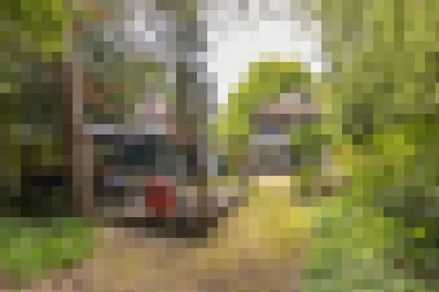 Beetslaan 7 Bilthoven thumbnail 51