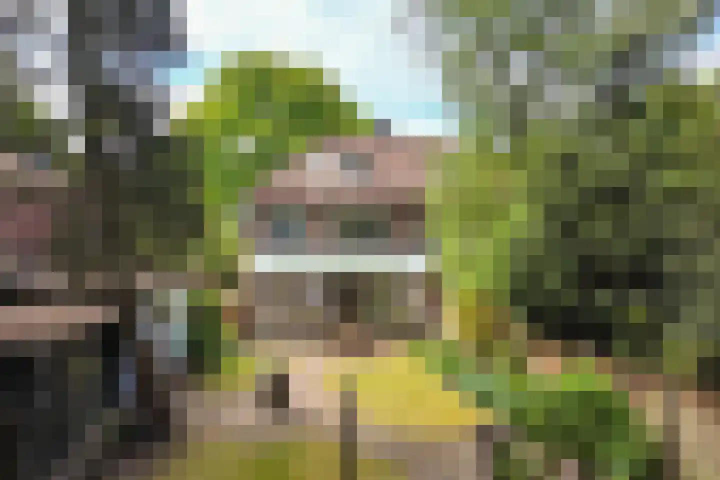 Beetslaan 7 Bilthoven thumbnail 53