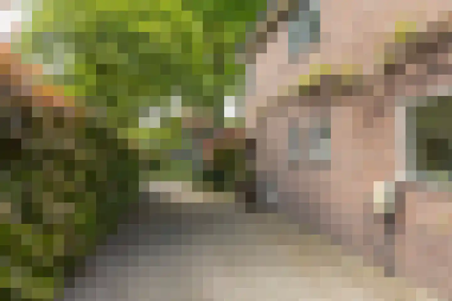 Beetslaan 7 Bilthoven thumbnail 60