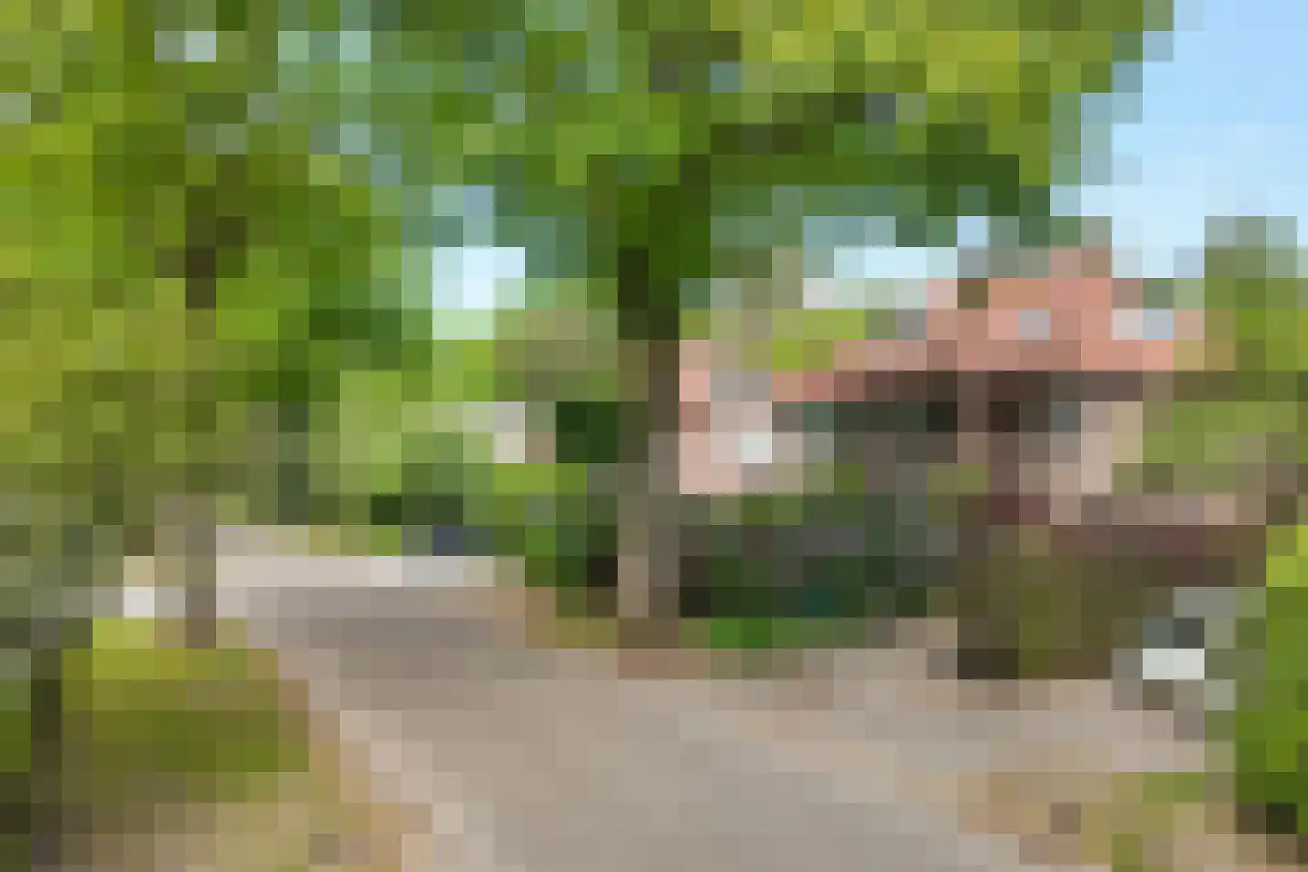 Beetslaan 7 Bilthoven thumbnail 62