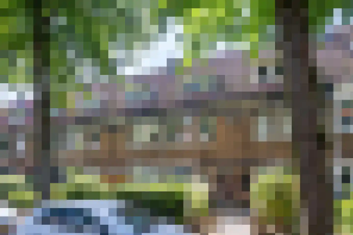 Beetslaan 70 Rijswijk thumbnail 34
