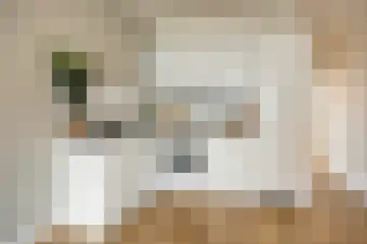 Beetslaan 87 Rijswijk thumbnail 10