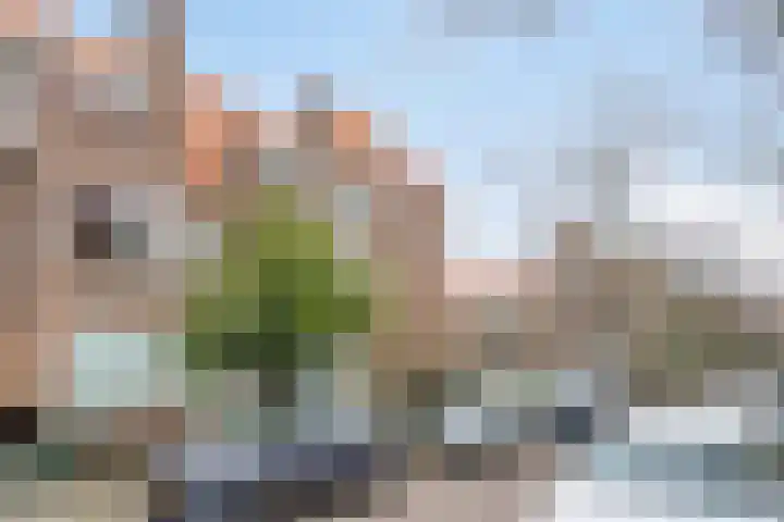 Beetslaan 87 Rijswijk thumbnail 23
