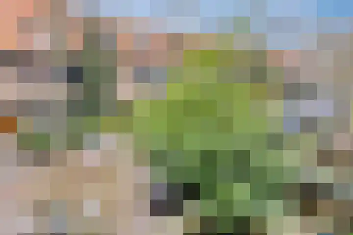 Beetslaan 87 Rijswijk thumbnail 24