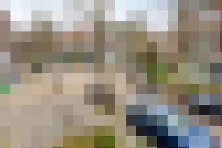 Beetslaan 87 Rijswijk thumbnail 26