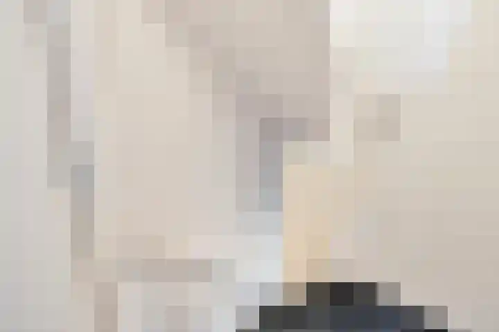 Beetslaan 87 Rijswijk thumbnail 5