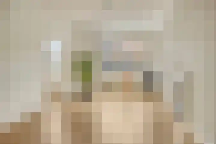 Beetslaan 87 Rijswijk thumbnail 6