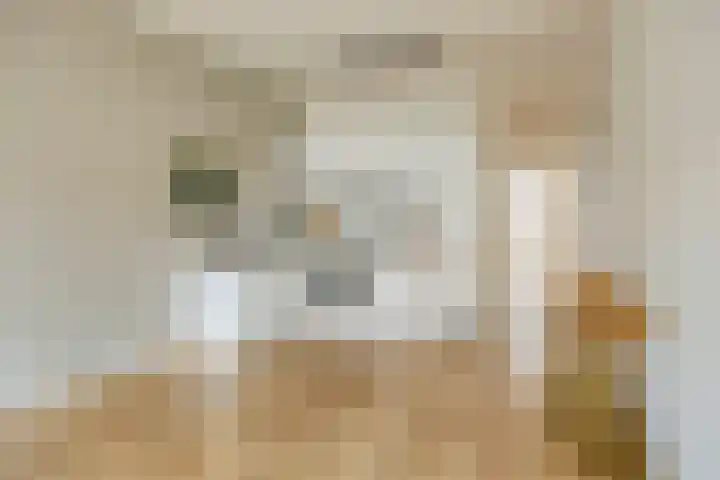 Beetslaan 87 Rijswijk thumbnail 9