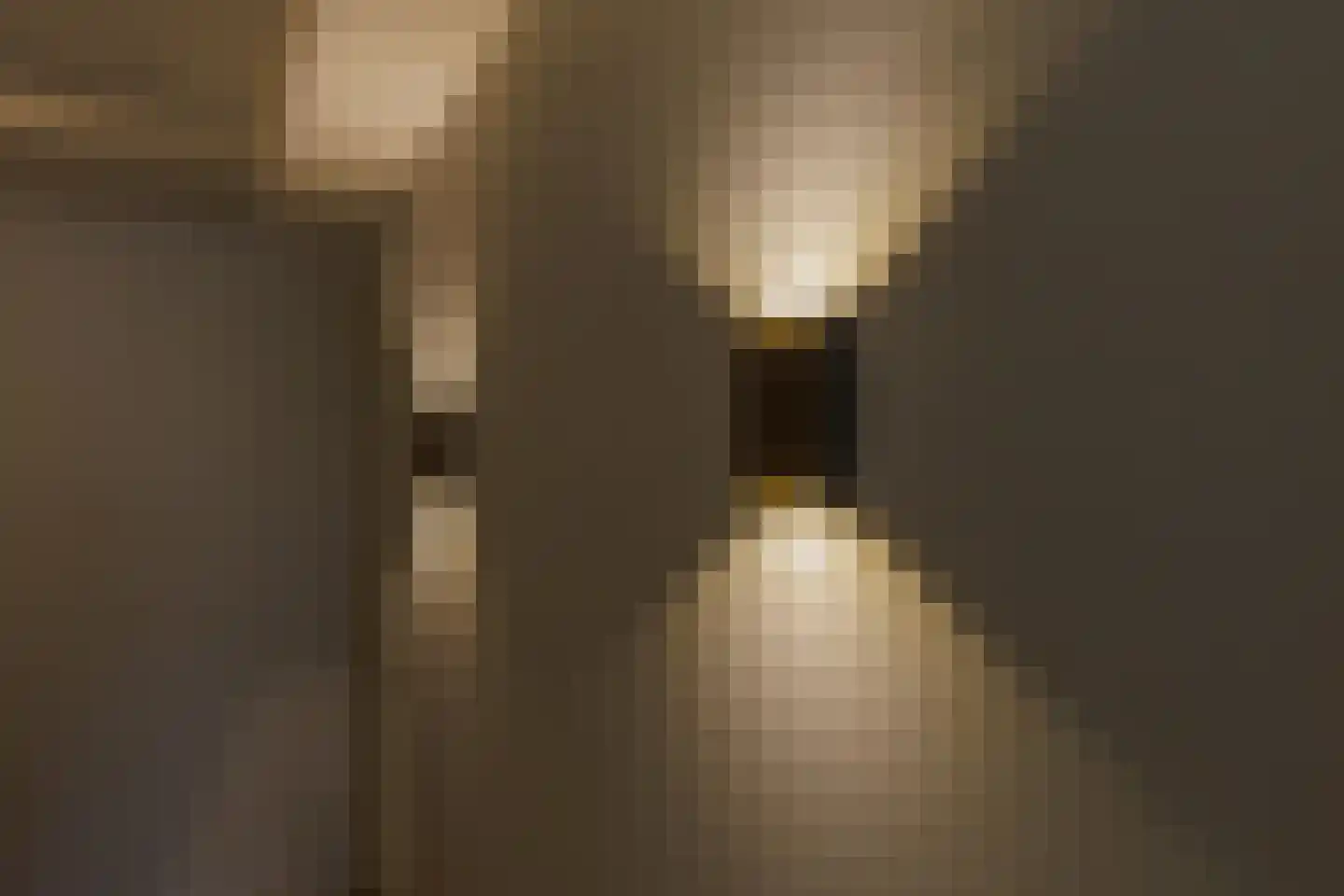 Beetsstraat 1 C 16 Oud-Beijerland thumbnail 26