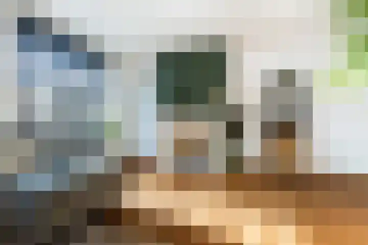 Beetsstraat 6 Oud-Beijerland thumbnail 13