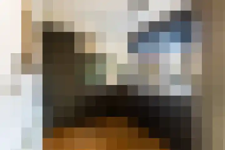 Beetsstraat 6 Oud-Beijerland thumbnail 22