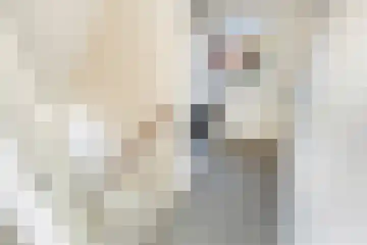 Beetsstraat 6 Oud-Beijerland thumbnail 35