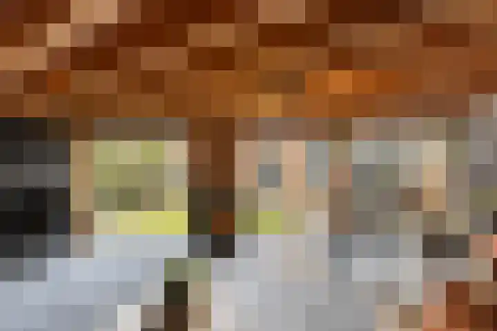 Beetsstraat 6 Oud-Beijerland thumbnail 46
