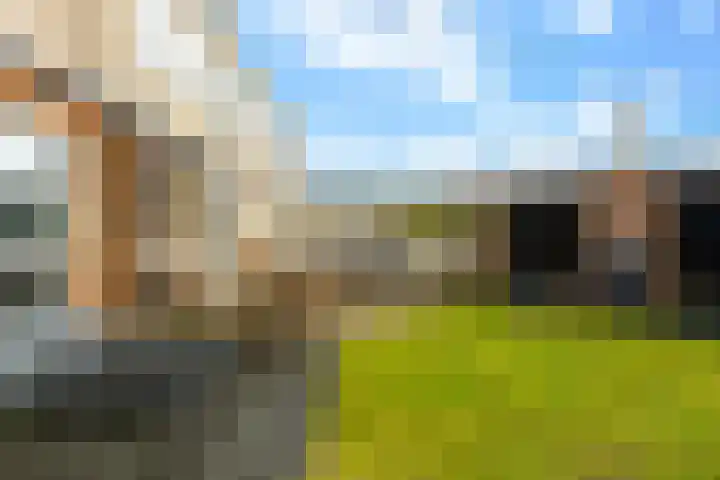 Beetsstraat 6 Oud-Beijerland thumbnail 50