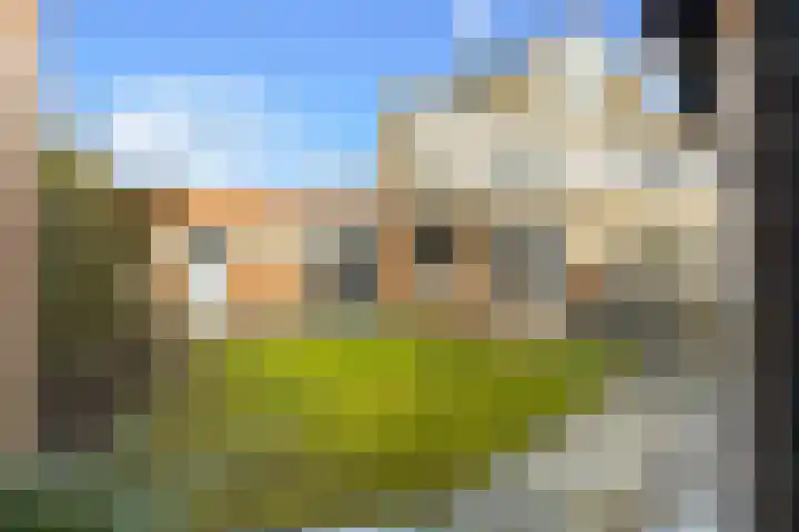 Beetsstraat 6 Oud-Beijerland thumbnail 51