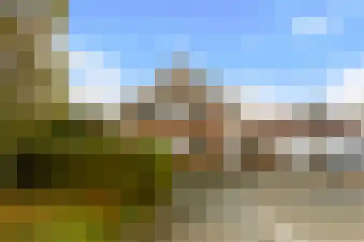 Beetsstraat 6 Oud-Beijerland thumbnail 58