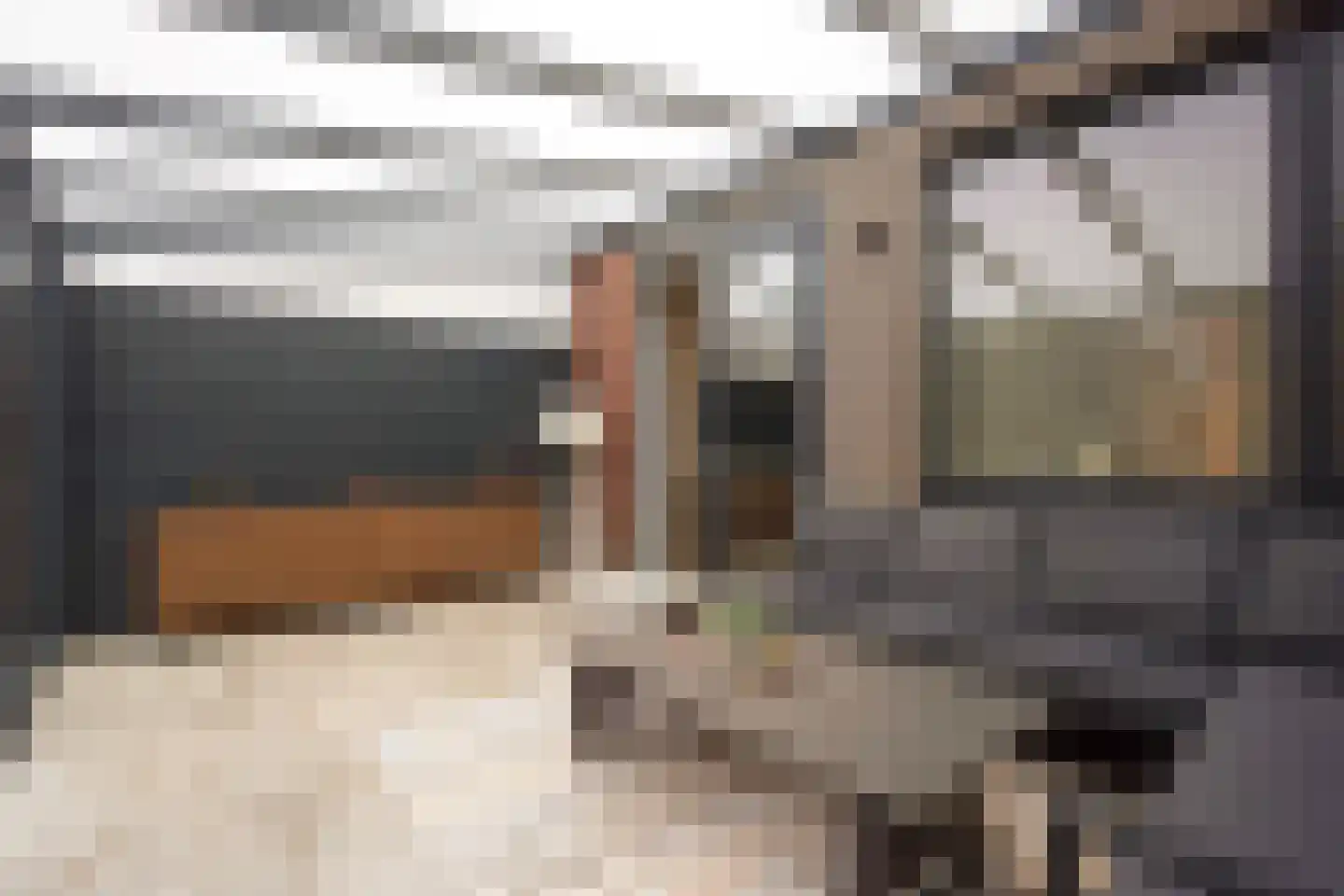 Beetsstraat 95 Den Haag thumbnail 10