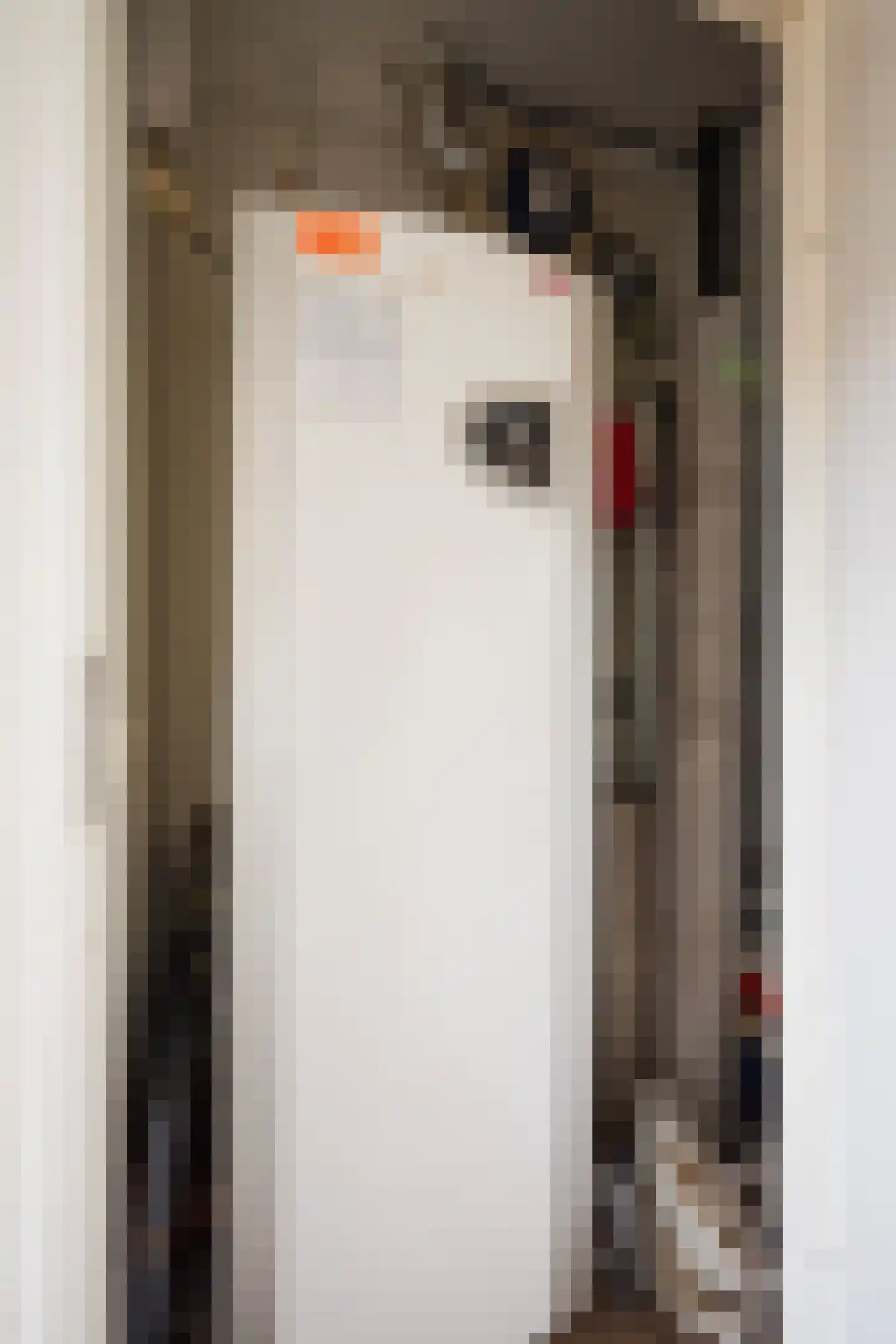 Beetsstraat 95 Den Haag thumbnail 32