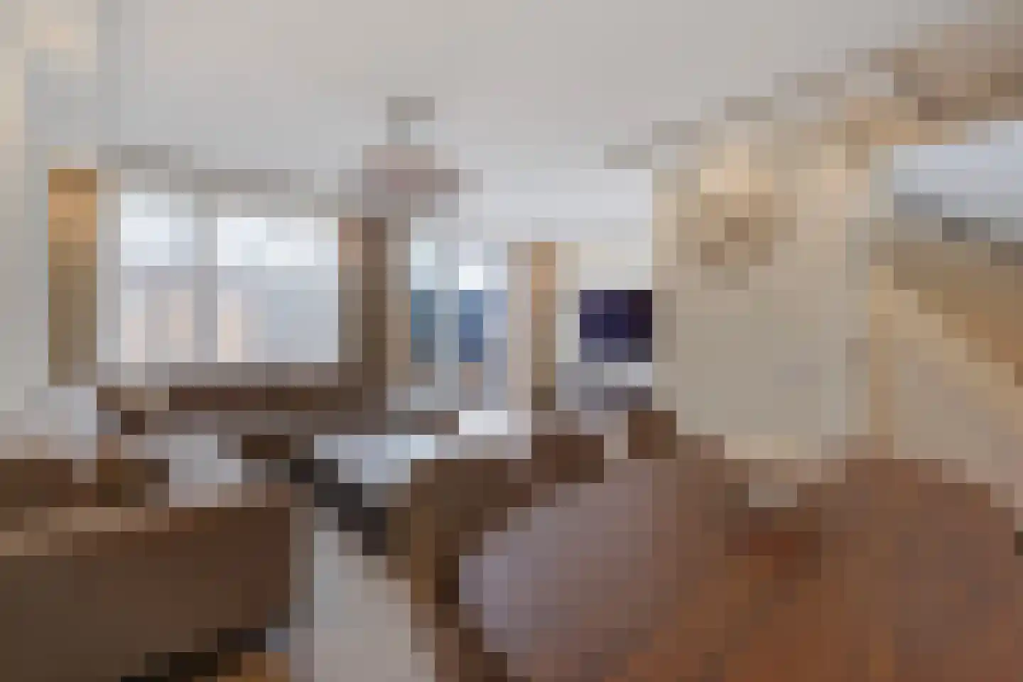 Beetsstraat 95 Den Haag thumbnail 6