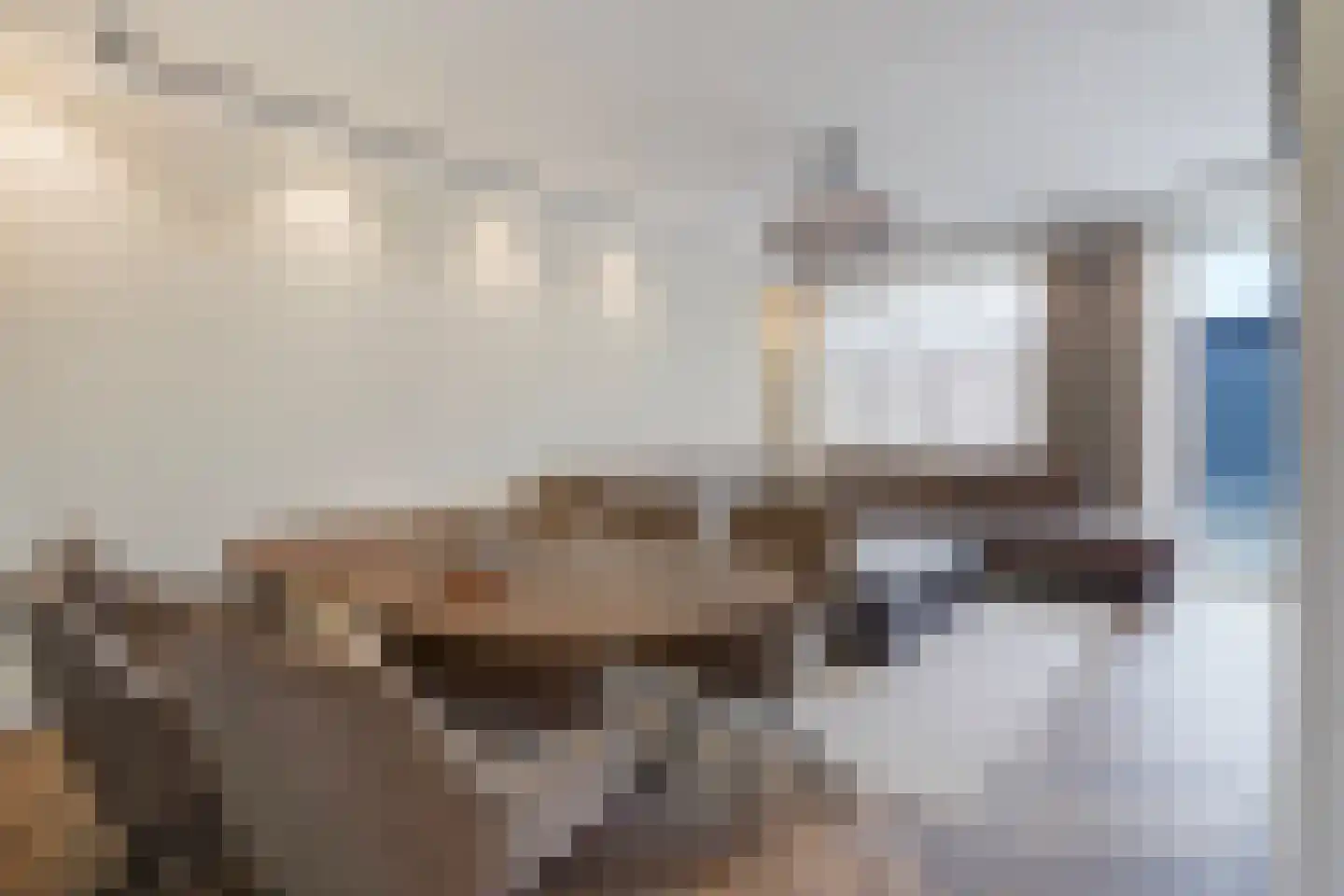 Beetsstraat 95 Den Haag thumbnail 7