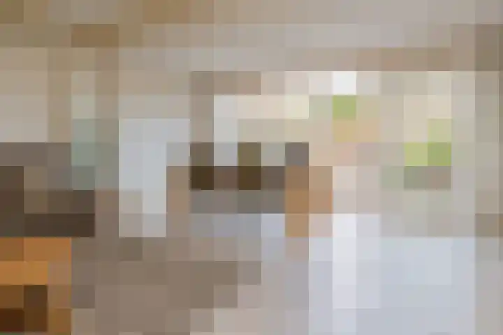 Beetswende 11 Hillegom thumbnail 10
