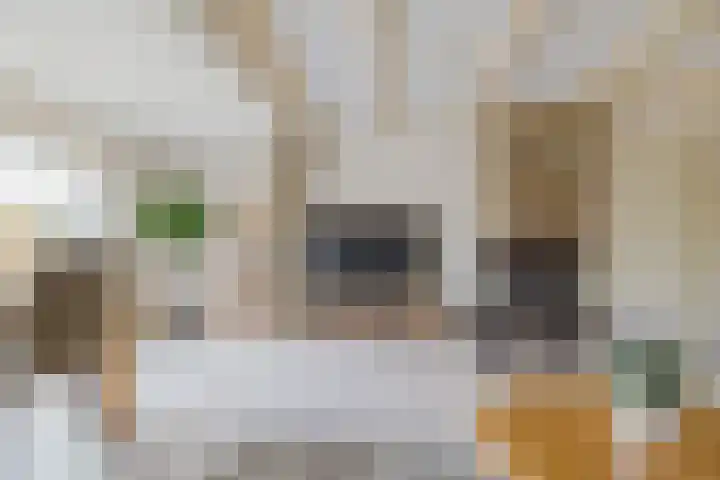 Beetswende 11 Hillegom thumbnail 12
