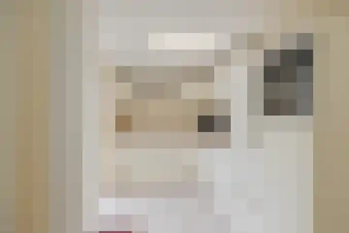 Beetswende 11 Hillegom thumbnail 14