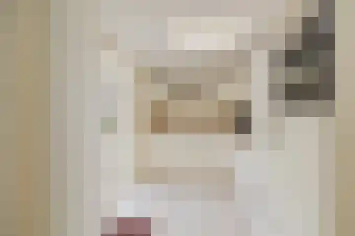 Beetswende 11 Hillegom thumbnail 15