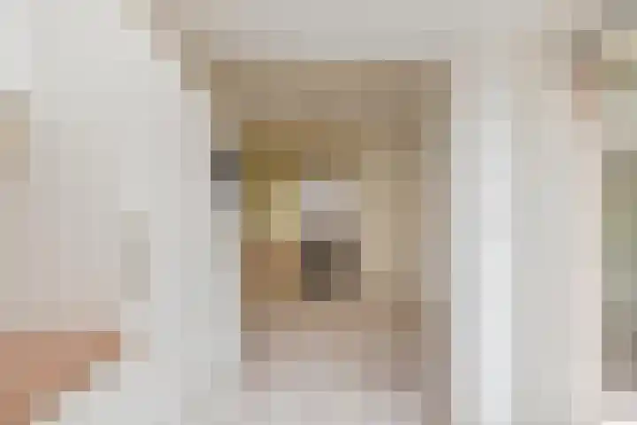 Beetswende 11 Hillegom thumbnail 16