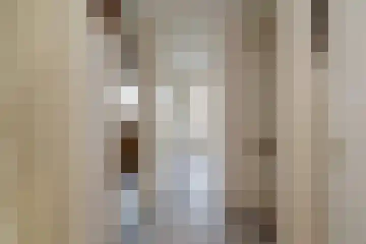 Beetswende 11 Hillegom thumbnail 17