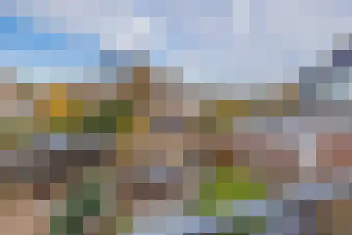 Beetswende 11 Hillegom thumbnail 21