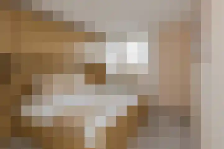 Beetswende 11 Hillegom thumbnail 22