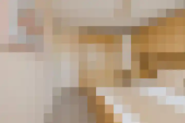Beetswende 11 Hillegom thumbnail 23