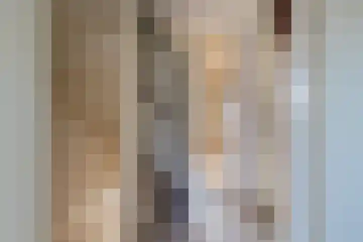 Beetswende 11 Hillegom thumbnail 29