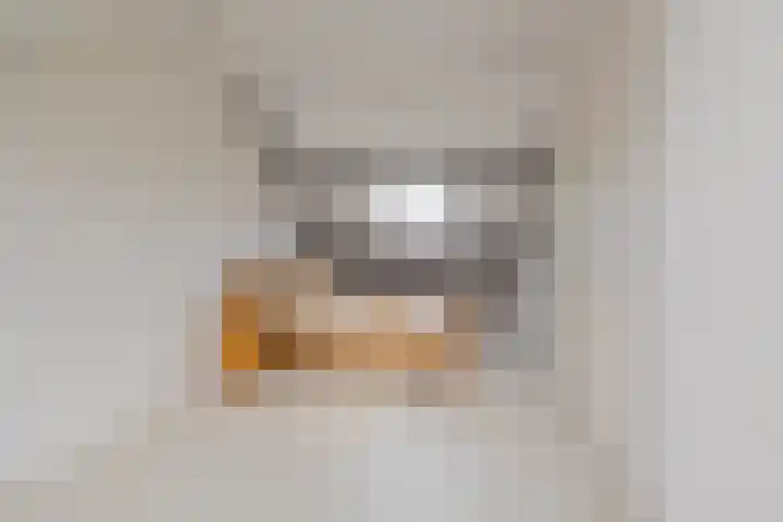 Beetswende 11 Hillegom thumbnail 32