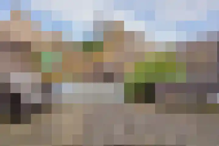 Beetswende 11 Hillegom thumbnail 35