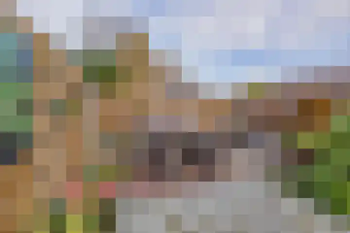 Beetswende 11 Hillegom thumbnail 37